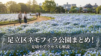 足立区ネモフィラ公園まとめ！見頃やアクセスも解説