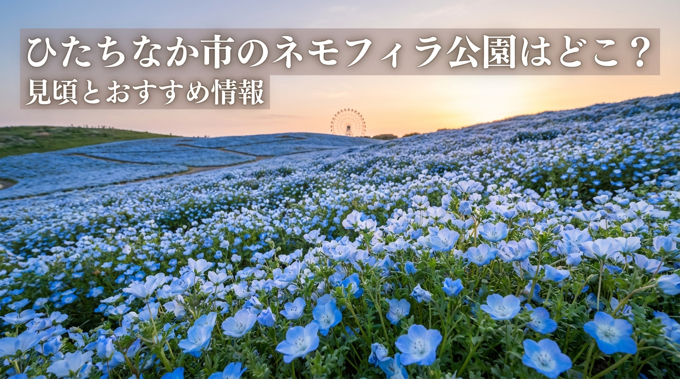 ひたちなか市のネモフィラ公園はどこ？見頃とおすすめ情報