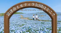 富津市ネモフィラ公園はどこ？子連れおすすめスポットを紹介！