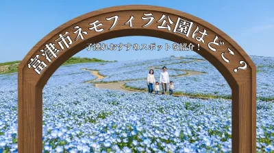 富津市ネモフィラ公園はどこ？子連れおすすめスポットを紹介！