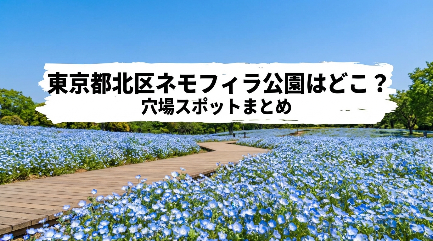 東京都北区ネモフィラ公園はどこ？穴場スポットまとめ