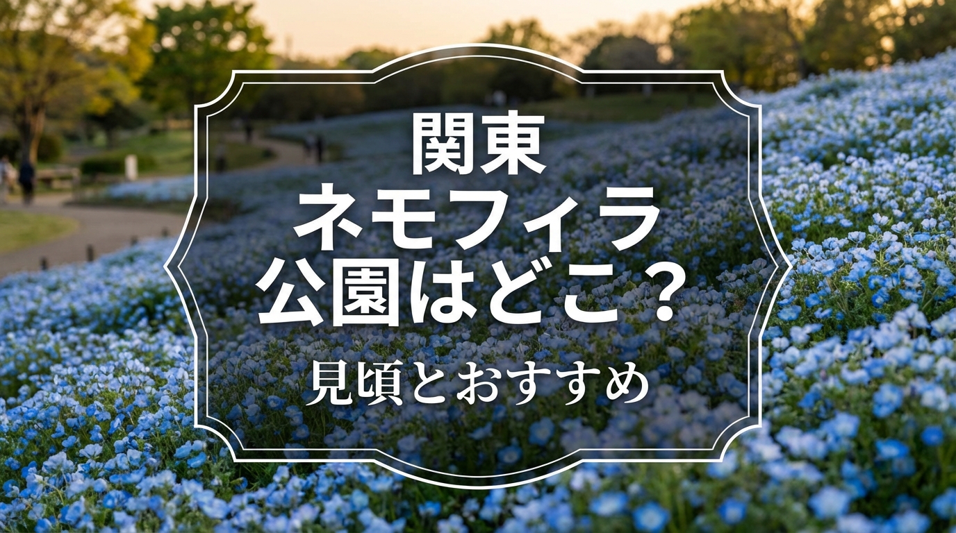 関東 ネモフィラ 公園はどこ？見頃とおすすめ