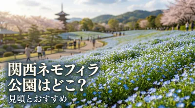 関西 ネモフィラ 公園はどこ？見頃とおすすめ