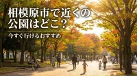 相模原市で近くの公園はどこ？今すぐ行けるおすすめ
