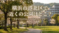 横浜市港北区で近くの公園はどこ？今すぐ行けるおすすめスポット