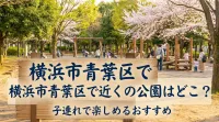 横浜市青葉区で近くの公園はどこ？子連れで楽しめるおすすめ