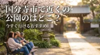 国分寺市で近くの公園はどこ？今すぐ行けるおすすめ