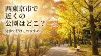 西東京市で近くの公園はどこ？徒歩で行けるおすすめ