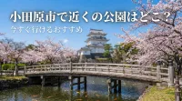 小田原市で近くの公園はどこ？今すぐ行けるおすすめ