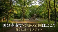 国分寺市で穴場の公園はどこ？静かに遊べるスポット