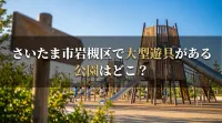 さいたま市岩槻区で大型遊具がある公園はどこ？
