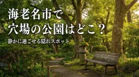 海老名市で穴場の公園はどこ？静かに過ごせる隠れスポット