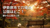 伊勢原市で穴場の公園はどこ？静かな公園まとめ