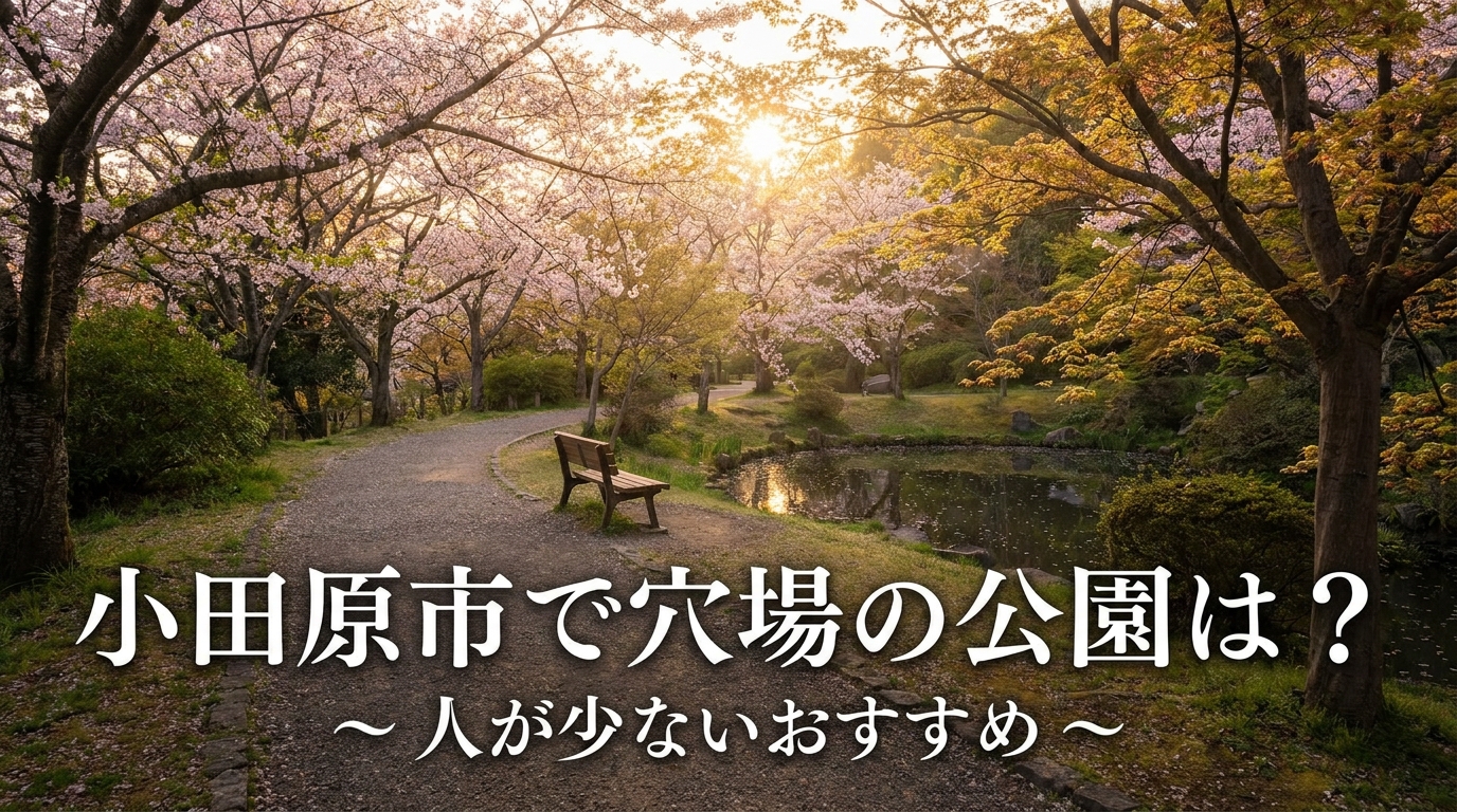 小田原市で穴場の公園は？人が少ないおすすめ