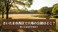 さいたま市西区で穴場の公園はどこ？空いてるおすすめは？
