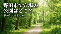 野田市で穴場の公園はどこ？静かな公園まとめ